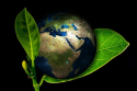 /uploads/posts/d511e09604a09bfc64a7b55bf3ea2a4476ef633c/thumbnails/earth-ekologiczna dzielnica.png